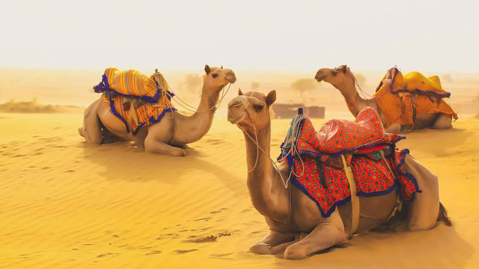 Golden Triangle Tour With Udaipur